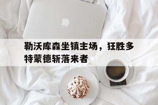 开云官方登录-勒沃库森坐镇主场，狂胜多特蒙德斩落来者