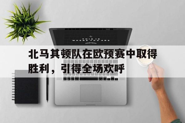 开云官方登录-北马其顿队在欧预赛中取得胜利，引得全场欢呼